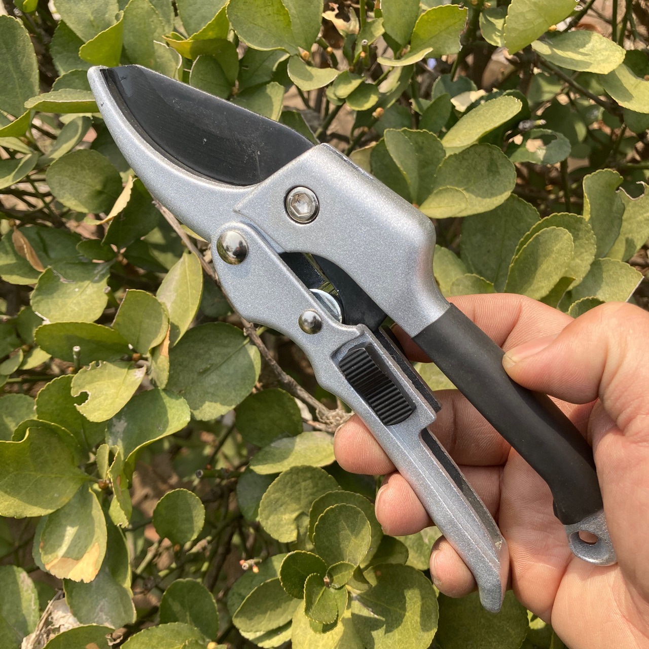 厂家直供修枝剪果树剪省力剪SK-5钢滑轮剪园艺剪刀果枝剪粗枝剪