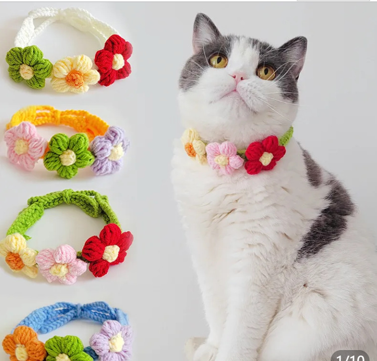 微信图片_20240708214129