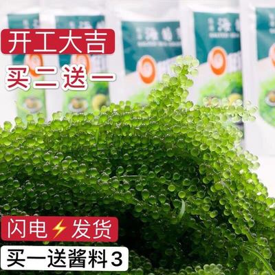 盐渍海葡萄100g新鲜活即食长寿菜海藻菜海菜裙带菜寿司绿色鱼子酱|ms