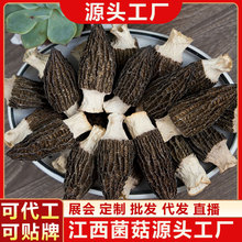 羊肚菌干货原产地2025头茬羊肚菌干菌剪柄食用羊肚菌源头厂家批发