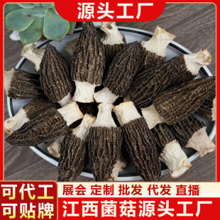 ��Ǿ���؛ԭ�a��2025�^����Ǿ��ɾ�����ʳ����Ǿ�Դ�^�S�����l