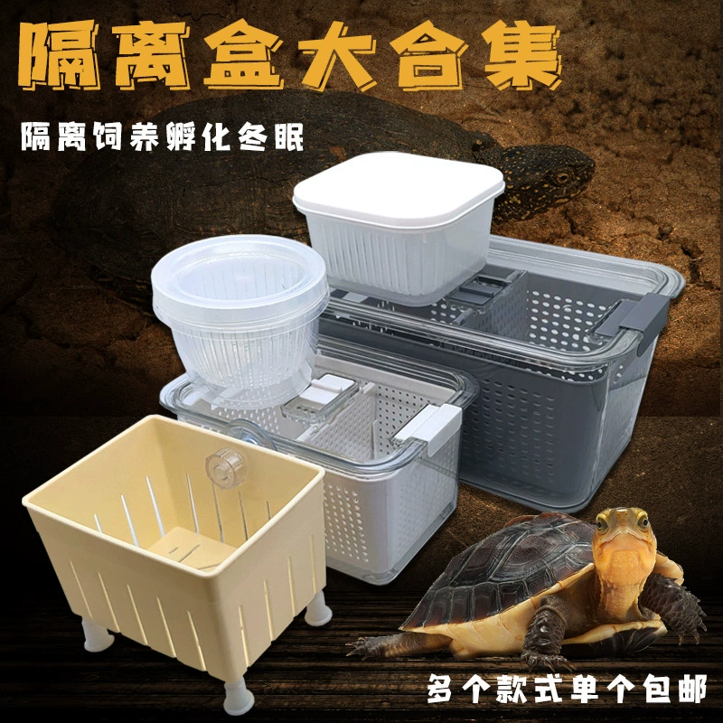 Научный консервированный бункер для инкубации черепахи наблюдает рассаду цвета волос яйца