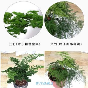 ��ɽ�����������������ɽ�辰�k���҃�����С���Ժ��B�Gֲ���]