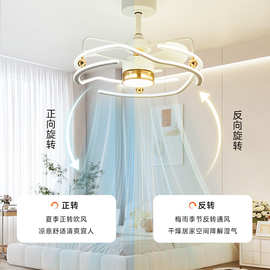 变频风扇吊灯客厅大厅主灯智能静音餐厅卧室一体现代简约带灯吊扇