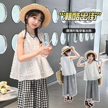 619�Ứ������