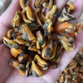 淡菜干新晒海虹特级野生青口贝干货贝类海鲜无沙贻贝干煲汤