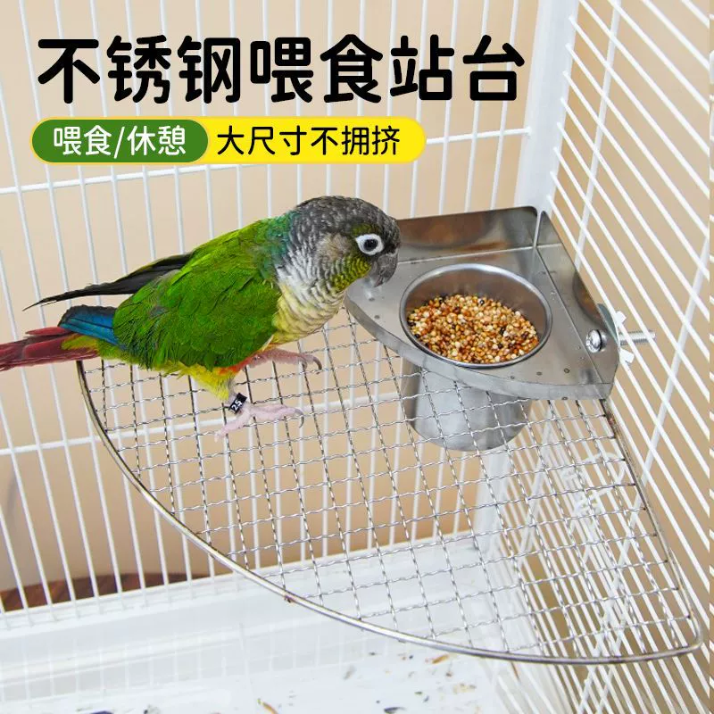 Треугольная раковина для попугая из нержавеющей стали, полая съемная платформа для кормления птиц, солнце, корелла, неразлучник, большая платформа