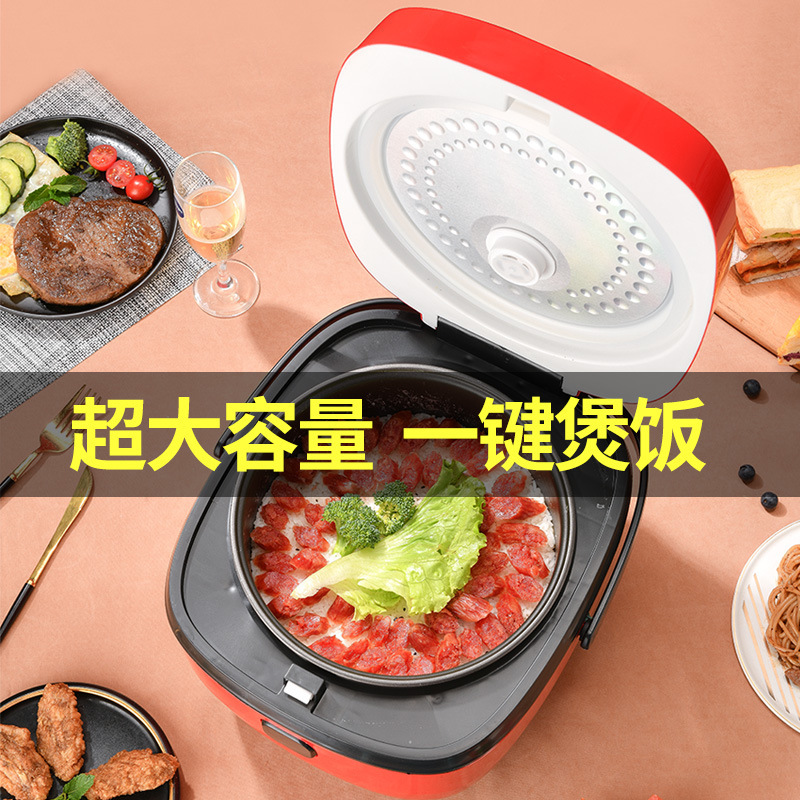 Home Use 5L Large Capacity Multifunction Smart Programmable Rice Cooker as a Gift Bulk Electric Rice Cooker