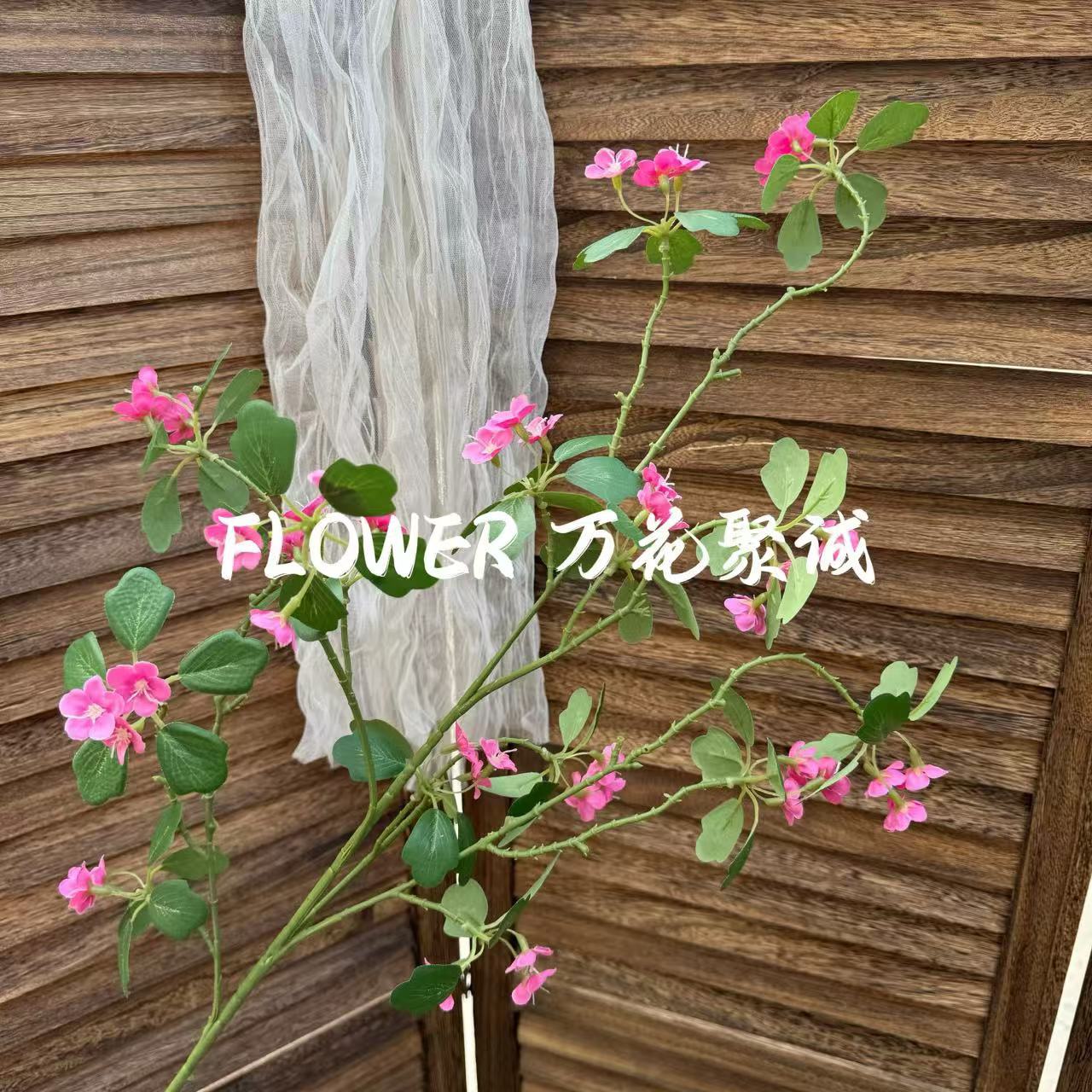 로즈 레드