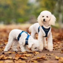 ���������KС��Ȯ���K�ӷ���Ó����ʽ̩�ϱ��ܺڰ׸��ӌ����ر���