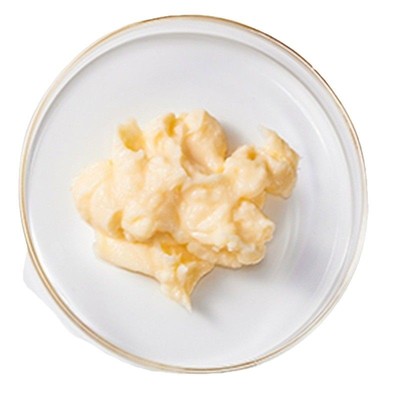 OEM代加工支持小批量鞣花酸肌肽面霜紧致嫩肤保湿滋养女定制面霜