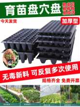 ����PѨ�P�бP��������P���������P�߲˺�������Ӻ����������P