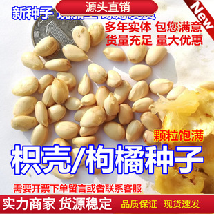 �²����ٷN���ך��N���۽۷e�������Ӽt�ٷN�Ӽ޽Ӵuľ���̻h�ʠ�