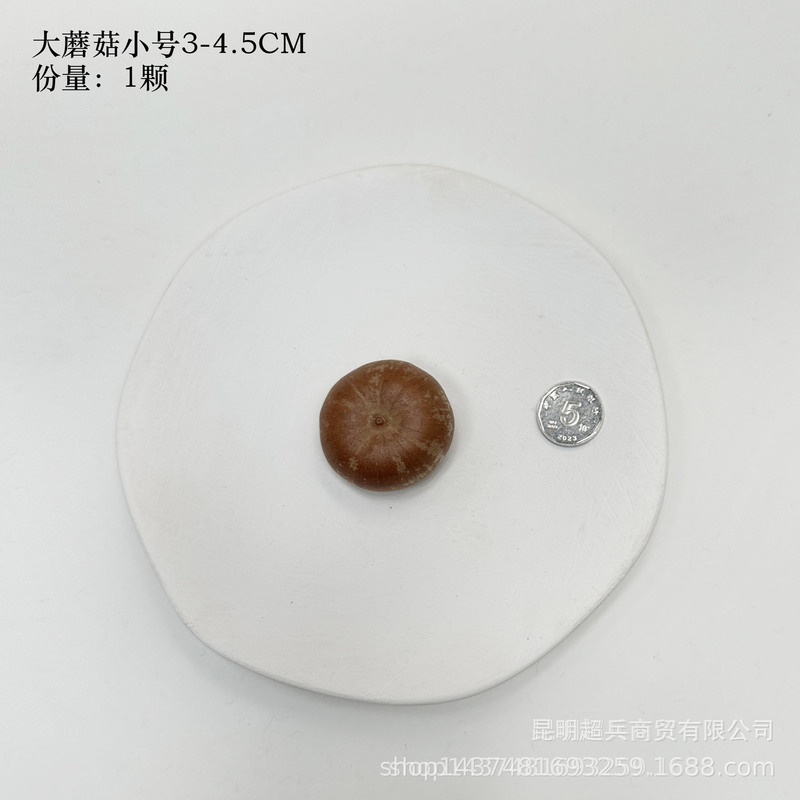 【各种果实类干花】圣诞果实类装饰品干花干果香薰蜡烛DIY橡果精|undefined