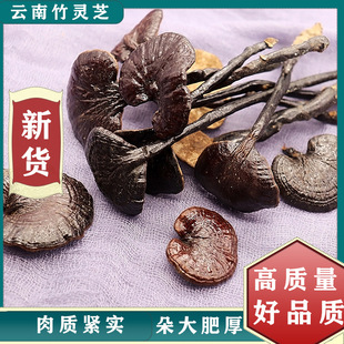 �����`֥��������ں�؛����؛���l�`֥��500g�� �Ҝ��ݾ�����