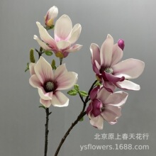 ����ʽ�ҾӲ�ה[���t��С���m�ٻ�PU�ٻ����滨�ߙn������廨