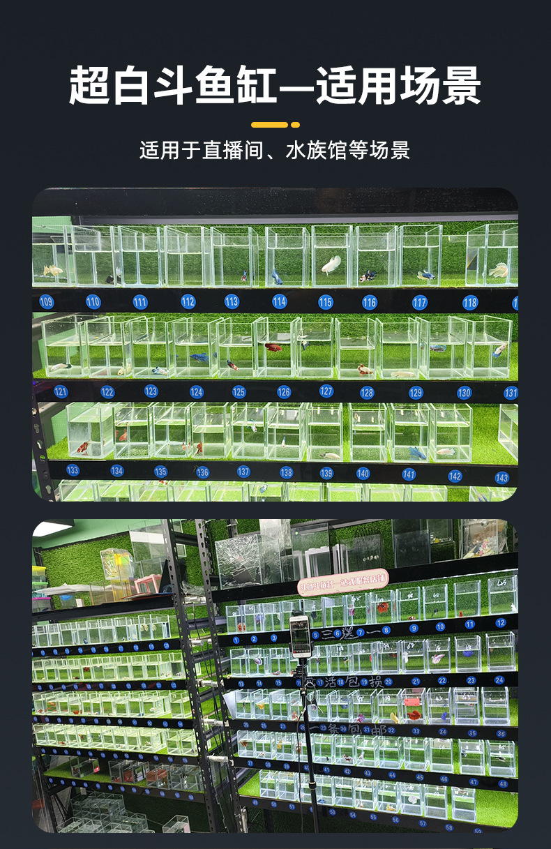 斗鱼缸_10