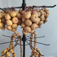 ��Ȼ���J����T���T�ֹ�������Ҿӿ͏d���Һ��J���b[���ڒ�