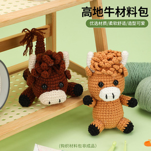 �¿�羳�ߵ�ţë���h�����ϰ��ֹ��hᘾ�����ż�[��crochet kit