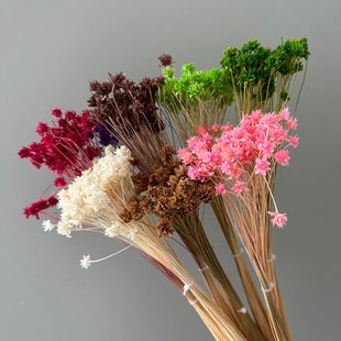 Сɽ�������������M�ڻ���ins�Ҿ��b�diy�Ĕz������Ͽ羳���l