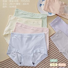 彩田15217高腰内裤女士175大码莫代尔棉亲肤透气加肥胖女抑菌舒适