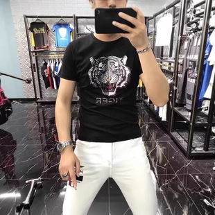 2026�ļ��߶�t���ж����w�������¿��ϻ��^�p�ݠC荳��ٴ�r��