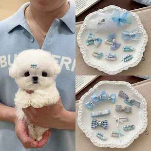 ����l�AС���L�����l��R����˹����̩���^����AС���ɐ�؈��