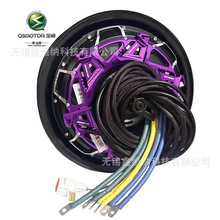 12��V6�L�Y5000WP45H��ƬQSMOTORȫ�늙C72-96V늄�܇늙C����