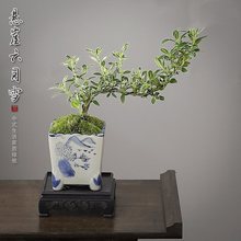 ����ѩ�辰���²����U���҃ȴ�̨С�Gֲ���k���Ҳ�ה[����������