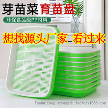 һ����ѿ����P�߲�ˮ��С���Nֲ�㶹������ѿ��P����P�o������