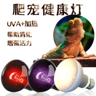 ���x����uva�ӟ���������،m��������՟�ҹ���t�⾀ȫ���V����