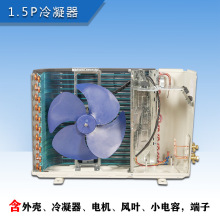 1.5Pƥ���{��C�������p�řC����������늙C�L�~�ߵ͉��y�������