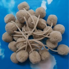 �_˾��ë���K��ë����S��ֱ�Në�����l�����Ѓ��ݸߏ���ë�q��