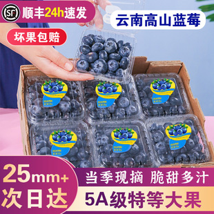 ����{ݮ�r�����w�����{ݮ���rˮ���ع�����������S/���|�Y�Пo