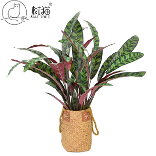 ��Ʒ�|������~��12�^�Pβާ���̈�ֲ���b���횿�ȸ�~�Gֲ�ٻ�