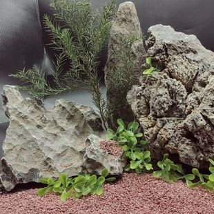 Factory supply green dragon stone black and white line garden courtyard fish tank rockery landscaping purification water quality specifications are complete