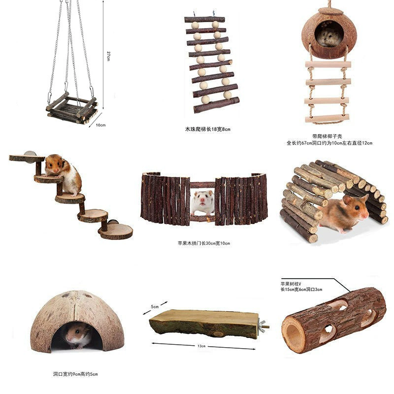Полный набор игрушек для хомяков, украшения в виде золотого медведя, птичье гнездо, ландшафтный дизайн геккона, качели-забор, гамак из скорлупы кокоса.