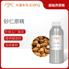 ɰ��ԭ��Amomum villosum�a��ֱ��ԭ�����l�����o�� ����܇����