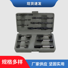 厂家自销可定 制 汽修工具 断头螺丝取出器 12PC 12件套