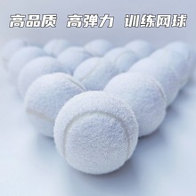 白色训练网球学生初学者专业余高弹力性练习正品跨境厂家印字logo