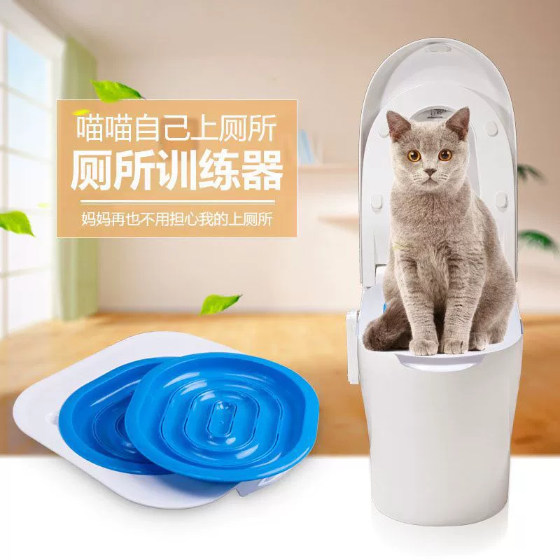 Кошачий туалет тренажер для кошек