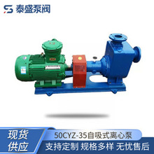 ���^̩ʢ50CYZ-35����ʽ�x�ı� ����ݔ�ͱ� ����������ԭ�ͱ����l