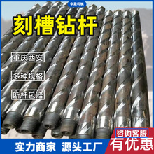 73�̲�荗U ����荗U ���|��̽�ÿ̲�荗U �V�õ��|��̽荗U