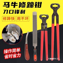 马蹄钳子牛马驴修蹄工具马蹄钳子马蹄锉刀修蹄刀剪蹄钳修蹄刀修蹄