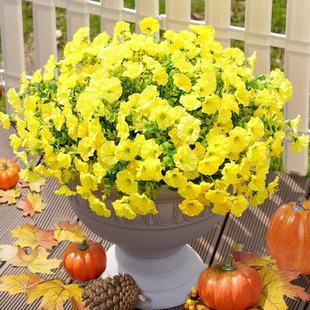 ���R�d���滨7���ȼ�����ţ�����Ȼ����첼���Gֲ�ٻ��Ҿӑ����b