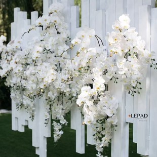 ���滨9�^�����m�ٻ���c��Y�ò����羳���l�zӰ�SWʽ���l