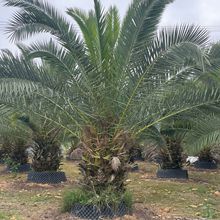 �����������������طNֲ�㽭�ؙ�������؏V�|�����������r�����