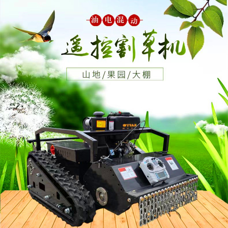 微信图片_202412231518231_副本