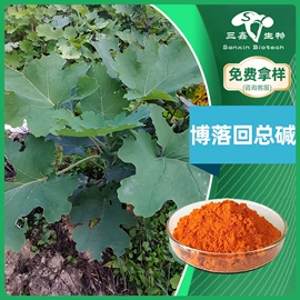 工业植物提取;其他生物化工