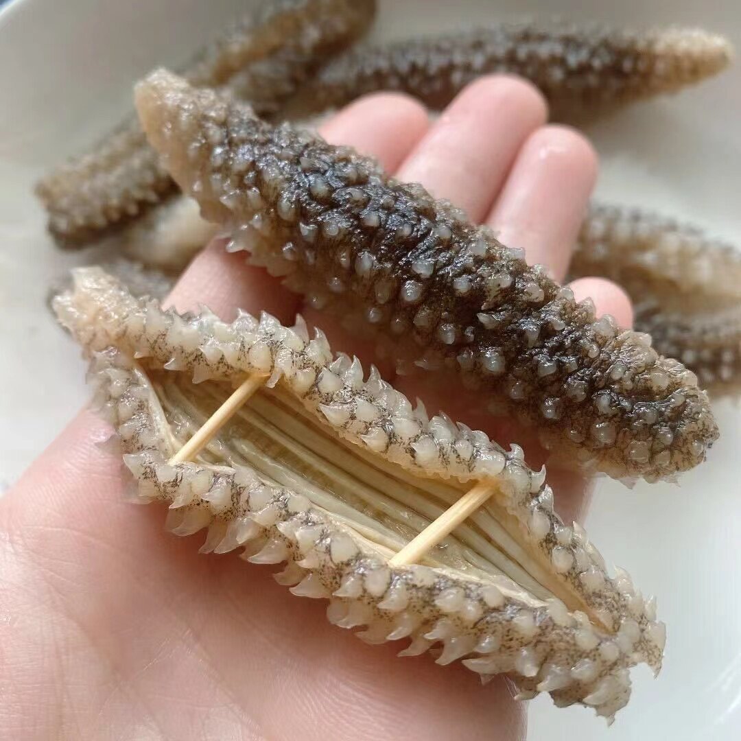 Wild Indonesian Black Sea Cucumber Holothuria Dried Seafood 500g High Rehydration Rate for Cooking preparation